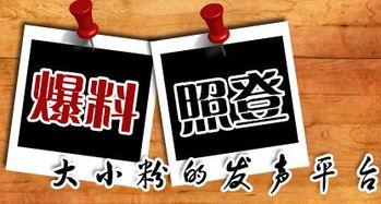 新闻马上爆料怎么办,新闻马上爆料，热点事件实时追踪  第1张