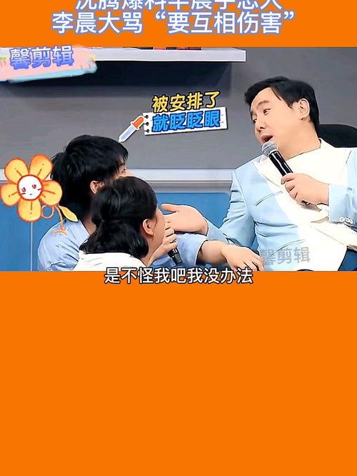 沈腾爆料恋人是谁视频播放,揭秘神秘恋人身份之谜 第1张 沈腾爆料恋人是谁视频播放,揭秘神秘恋人身份之谜 第1张